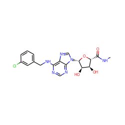 CNC(=O)[C@H]1O[C@@H](n2cnc3c(NCc4cccc(Cl)c4)ncnc32)[C@H](O)[C@@H]1O ZINC000012405559