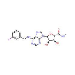 CNC(=O)[C@H]1O[C@@H](n2cnc3c(NCc4cccc(I)c4)ncnc32)[C@H](O)[C@@H]1O ZINC000003811810