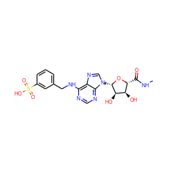 CNC(=O)[C@H]1O[C@@H](n2cnc3c(NCc4cccc(S(=O)(=O)O)c4)ncnc32)[C@H](O)[C@@H]1O ZINC000012405568