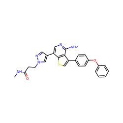 CNC(=O)CCn1cc(-c2cnc(N)c3c(-c4ccc(Oc5ccccc5)cc4)csc23)cn1 ZINC000473120554