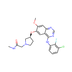 CNC(=O)CN1CC[C@H](Oc2cc3c(Nc4cccc(Cl)c4F)ncnc3cc2OC)C1 ZINC000096911236