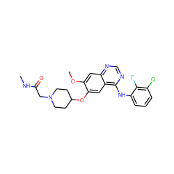 CNC(=O)CN1CCC(Oc2cc3c(Nc4cccc(Cl)c4F)ncnc3cc2OC)CC1 ZINC000034587071