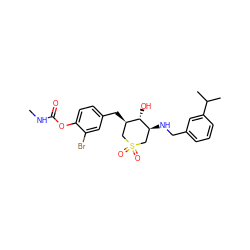 CNC(=O)Oc1ccc(C[C@@H]2CS(=O)(=O)C[C@H](NCc3cccc(C(C)C)c3)[C@H]2O)cc1Br ZINC000071296570