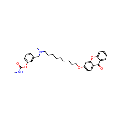 CNC(=O)Oc1cccc(CN(C)CCCCCCCCCOc2ccc3c(=O)c4ccccc4oc3c2)c1 ZINC000013864708