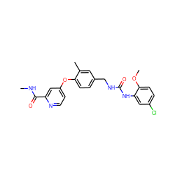 CNC(=O)c1cc(Oc2ccc(CNC(=O)Nc3cc(Cl)ccc3OC)cc2C)ccn1 ZINC000201824386