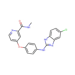 CNC(=O)c1cc(Oc2ccc(Nc3nc4cc(Cl)ccc4[nH]3)cc2)ccn1 ZINC000045484959