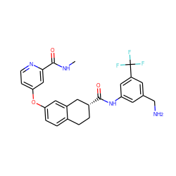 CNC(=O)c1cc(Oc2ccc3c(c2)C[C@H](C(=O)Nc2cc(CN)cc(C(F)(F)F)c2)CC3)ccn1 ZINC000066128439