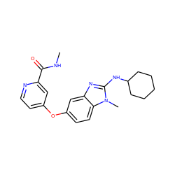 CNC(=O)c1cc(Oc2ccc3c(c2)nc(NC2CCCCC2)n3C)ccn1 ZINC000040897882