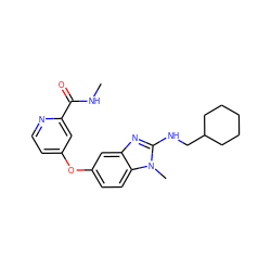 CNC(=O)c1cc(Oc2ccc3c(c2)nc(NCC2CCCCC2)n3C)ccn1 ZINC000040898364