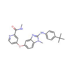 CNC(=O)c1cc(Oc2ccc3c(c2)nc(Nc2ccc(C(C)(C)C)cc2)n3C)ccn1 ZINC000040898334