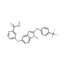 CNC(=O)c1cc(Oc2ccc3c(c2)nc(Nc2ccc(C(F)(F)F)cc2)n3C)ccn1 ZINC000040891668