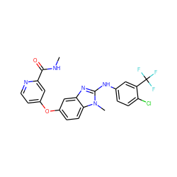 CNC(=O)c1cc(Oc2ccc3c(c2)nc(Nc2ccc(Cl)c(C(F)(F)F)c2)n3C)ccn1 ZINC000040402073