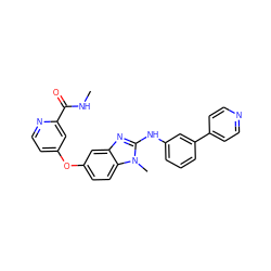 CNC(=O)c1cc(Oc2ccc3c(c2)nc(Nc2cccc(-c4ccncc4)c2)n3C)ccn1 ZINC000040409079