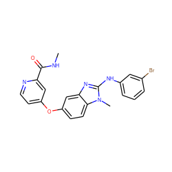 CNC(=O)c1cc(Oc2ccc3c(c2)nc(Nc2cccc(Br)c2)n3C)ccn1 ZINC000040394282