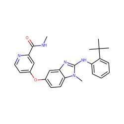 CNC(=O)c1cc(Oc2ccc3c(c2)nc(Nc2ccccc2C(C)(C)C)n3C)ccn1 ZINC000040891669