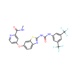 CNC(=O)c1cc(Oc2ccc3nc(NC(=O)Nc4cc(C(F)(F)F)cc(C(F)(F)F)c4)sc3c2)ccn1 ZINC000653850692