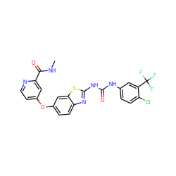 CNC(=O)c1cc(Oc2ccc3nc(NC(=O)Nc4ccc(Cl)c(C(F)(F)F)c4)sc3c2)ccn1 ZINC000653850678