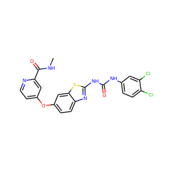 CNC(=O)c1cc(Oc2ccc3nc(NC(=O)Nc4ccc(Cl)c(Cl)c4)sc3c2)ccn1 ZINC000653848932