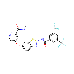 CNC(=O)c1cc(Oc2ccc3nc(NC(=O)c4cc(C(F)(F)F)cc(C(F)(F)F)c4)sc3c2)ccn1 ZINC000653854021