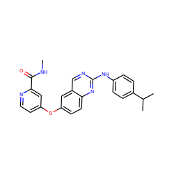 CNC(=O)c1cc(Oc2ccc3nc(Nc4ccc(C(C)C)cc4)ncc3c2)ccn1 ZINC000073385919