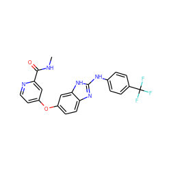 CNC(=O)c1cc(Oc2ccc3nc(Nc4ccc(C(F)(F)F)cc4)[nH]c3c2)ccn1 ZINC000040913734