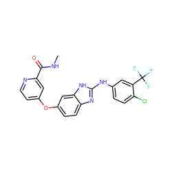 CNC(=O)c1cc(Oc2ccc3nc(Nc4ccc(Cl)c(C(F)(F)F)c4)[nH]c3c2)ccn1 ZINC000016052883