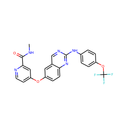 CNC(=O)c1cc(Oc2ccc3nc(Nc4ccc(OC(F)(F)F)cc4)ncc3c2)ccn1 ZINC000073292706