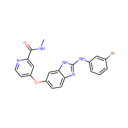 CNC(=O)c1cc(Oc2ccc3nc(Nc4cccc(Br)c4)[nH]c3c2)ccn1 ZINC000042888191