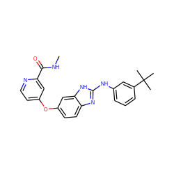 CNC(=O)c1cc(Oc2ccc3nc(Nc4cccc(C(C)(C)C)c4)[nH]c3c2)ccn1 ZINC000040895948