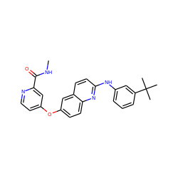 CNC(=O)c1cc(Oc2ccc3nc(Nc4cccc(C(C)(C)C)c4)ccc3c2)ccn1 ZINC000073259102