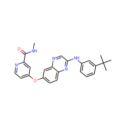 CNC(=O)c1cc(Oc2ccc3nc(Nc4cccc(C(C)(C)C)c4)cnc3c2)ccn1 ZINC000036410079