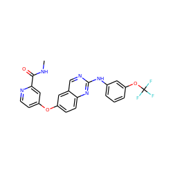 CNC(=O)c1cc(Oc2ccc3nc(Nc4cccc(OC(F)(F)F)c4)ncc3c2)ccn1 ZINC000073198174