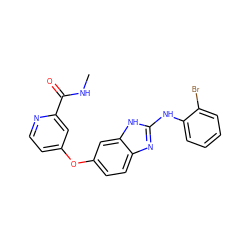 CNC(=O)c1cc(Oc2ccc3nc(Nc4ccccc4Br)[nH]c3c2)ccn1 ZINC000040421798