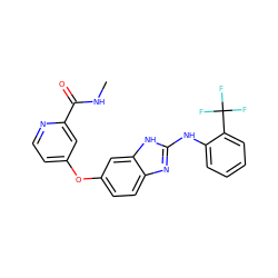 CNC(=O)c1cc(Oc2ccc3nc(Nc4ccccc4C(F)(F)F)[nH]c3c2)ccn1 ZINC000040913732