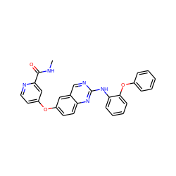 CNC(=O)c1cc(Oc2ccc3nc(Nc4ccccc4Oc4ccccc4)ncc3c2)ccn1 ZINC000082152044