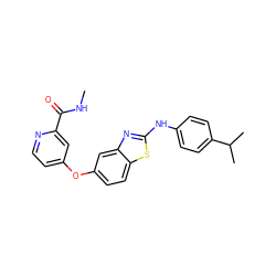 CNC(=O)c1cc(Oc2ccc3sc(Nc4ccc(C(C)C)cc4)nc3c2)ccn1 ZINC000071340572