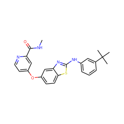 CNC(=O)c1cc(Oc2ccc3sc(Nc4cccc(C(C)(C)C)c4)nc3c2)ccn1 ZINC000071333422