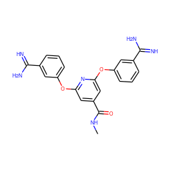 CNC(=O)c1cc(Oc2cccc(C(=N)N)c2)nc(Oc2cccc(C(=N)N)c2)c1 ZINC000013797439