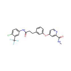 CNC(=O)c1cc(Oc2cccc(CCC(=O)Nc3ccc(Cl)c(C(F)(F)F)c3)c2)ccn1 ZINC000066123120