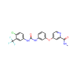 CNC(=O)c1cc(Oc2cccc(NC(=O)Nc3ccc(Cl)c(C(F)(F)F)c3)c2)ccn1 ZINC000033999993