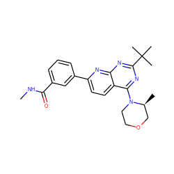 CNC(=O)c1cccc(-c2ccc3c(N4CCOC[C@@H]4C)nc(C(C)(C)C)nc3n2)c1 ZINC000205171582