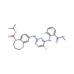 CNC(=O)c1cccc(F)c1Nc1nc(Nc2ccc3c(c2)OCCCN3C(=O)OC(C)C)ncc1Cl ZINC000066058890