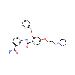 CNC(=O)c1cccc(NC(=O)c2ccc(OCCCN3CCCC3)cc2OCc2ccccc2)c1 ZINC000072180080