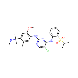 CNC(C)(C)c1cc(OC)c(Nc2ncc(Cl)c(Nc3ccccc3S(=O)(=O)C(C)C)n2)cc1C ZINC001772637243