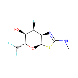 CNC1=N[C@@H]2[C@H](F)[C@H](O)[C@@H](C(F)F)O[C@@H]2S1 ZINC000200876321