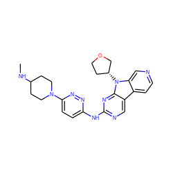 CNC1CCN(c2ccc(Nc3ncc4c5ccncc5n([C@@H]5CCOC5)c4n3)nn2)CC1 ZINC000169706879