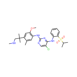 CNCC(C)(C)c1cc(OC)c(Nc2ncc(Cl)c(Nc3ccccc3S(=O)(=O)C(C)C)n2)cc1C ZINC001772585858