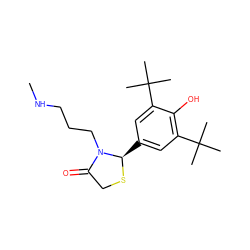 CNCCCN1C(=O)CS[C@@H]1c1cc(C(C)(C)C)c(O)c(C(C)(C)C)c1 ZINC000013781668