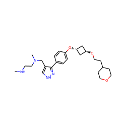 CNCCN(C)Cc1c[nH]nc1-c1ccc(O[C@H]2C[C@H](OCCC3CCOCC3)C2)cc1 ZINC000253387928