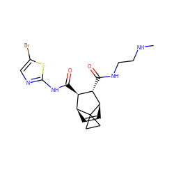 CNCCNC(=O)[C@H]1[C@H](C(=O)Nc2ncc(Br)s2)[C@@H]2C=C[C@H]1C21CC1 ZINC000168453667